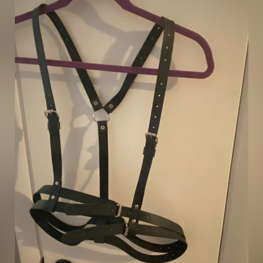 Harness